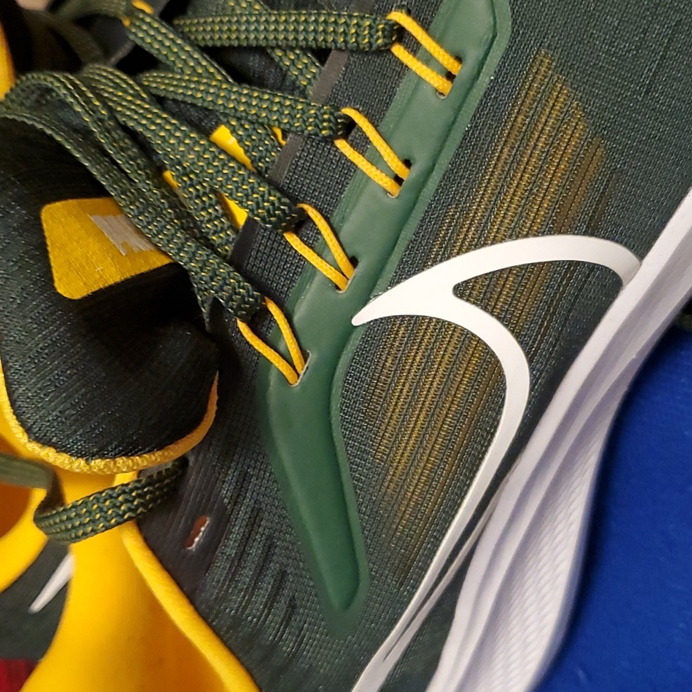 Nike Pegasus 39